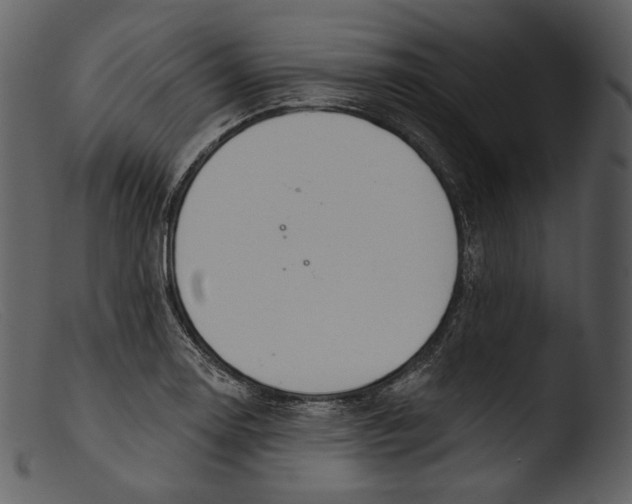 X0000103281130200809261219