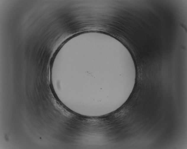 X0000103281132200809261219