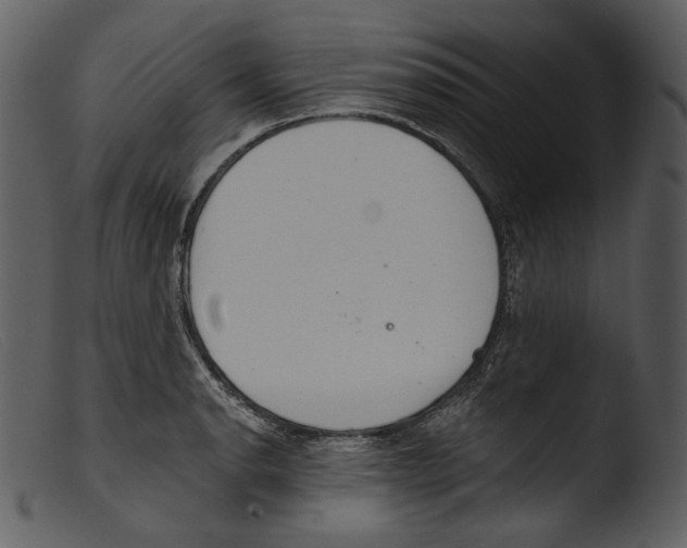 X0000103281134200809261219