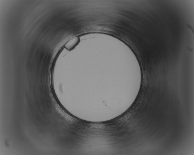 X0000103281136200809261219