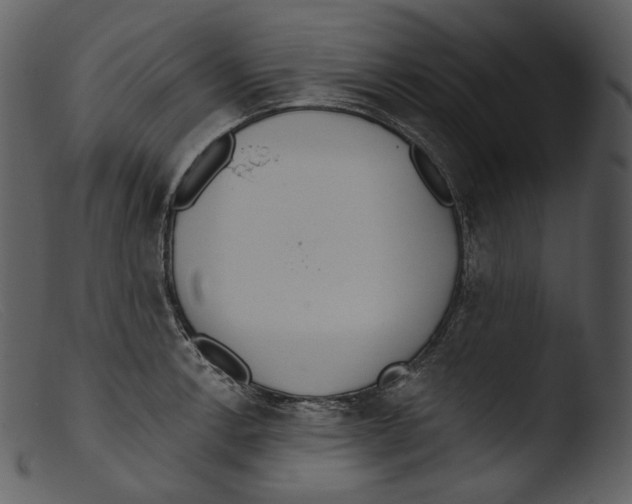 X0000103281138200809261219