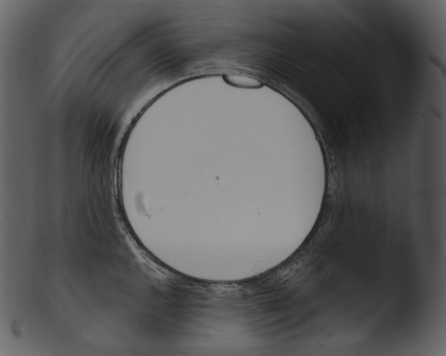 X0000103281144200809261219