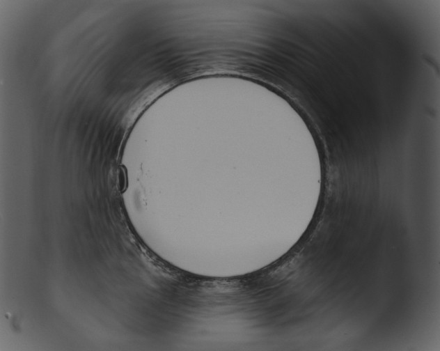 X0000103281145200809261219