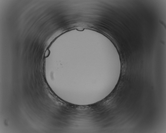 X0000103281146200809261219