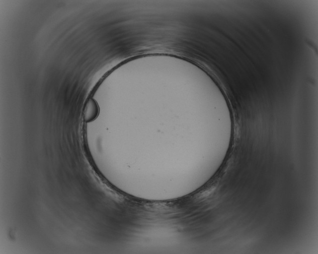 X0000103281149200809261219