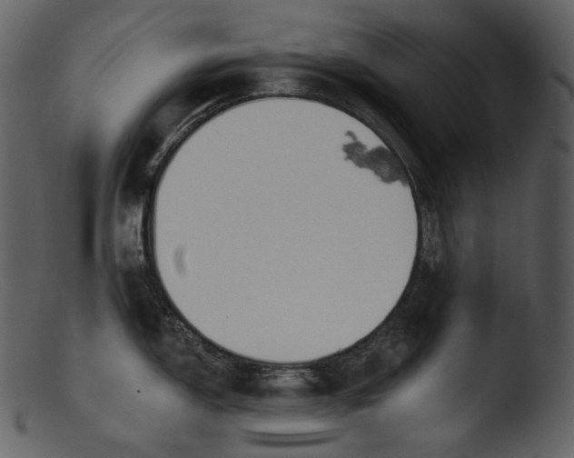 X0000103281150200809261219