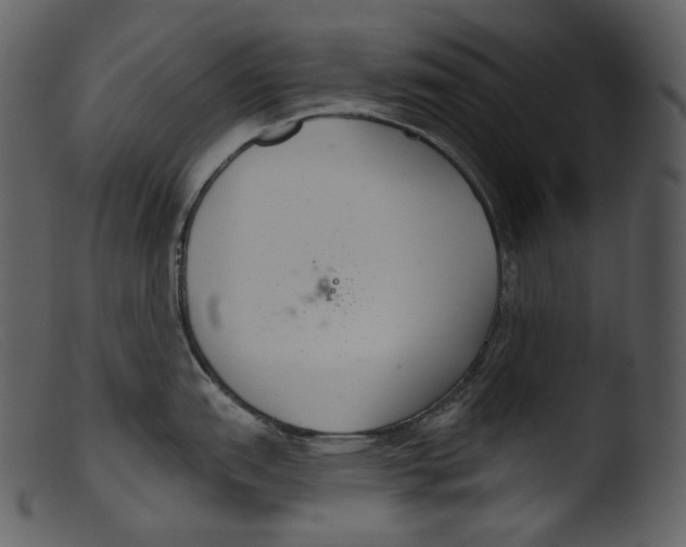 X0000103281151200809261219