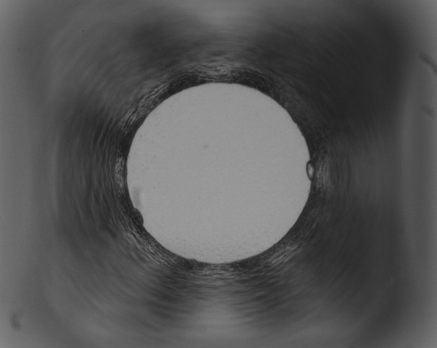 X0000103281156200809261219