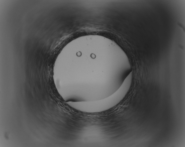 X0000103281157200809261219