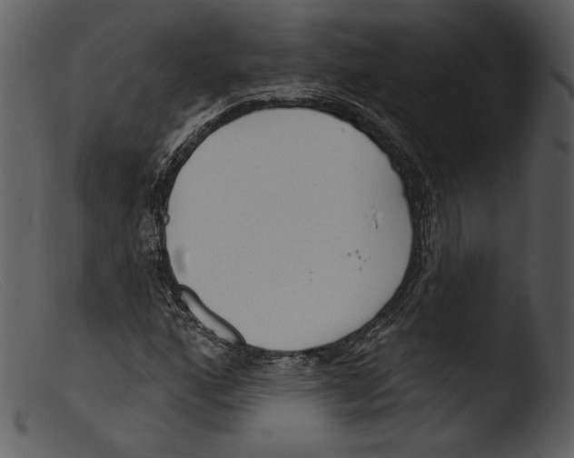 X0000103281160200809261219