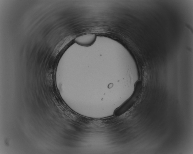 X0000103281162200809261219