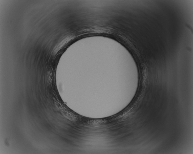 X0000103281163200809261219