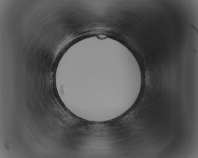 X0000103281164200809261219