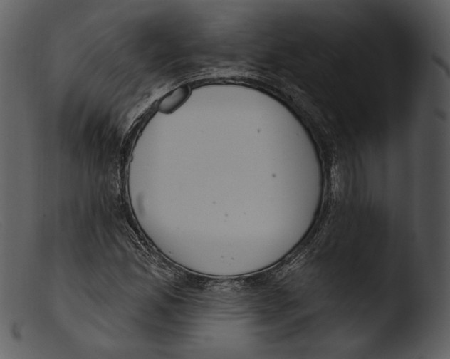 X0000103281165200809261219