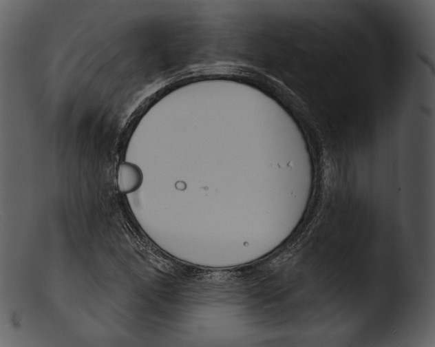 X0000103281166200809261219