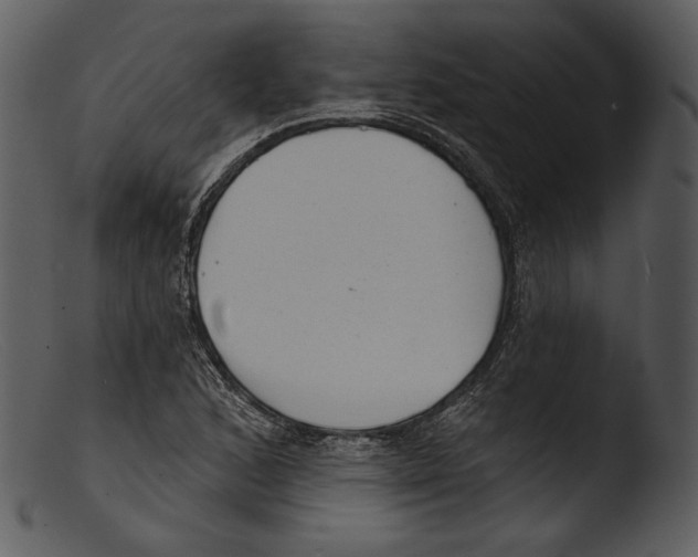 X0000103281168200809261219