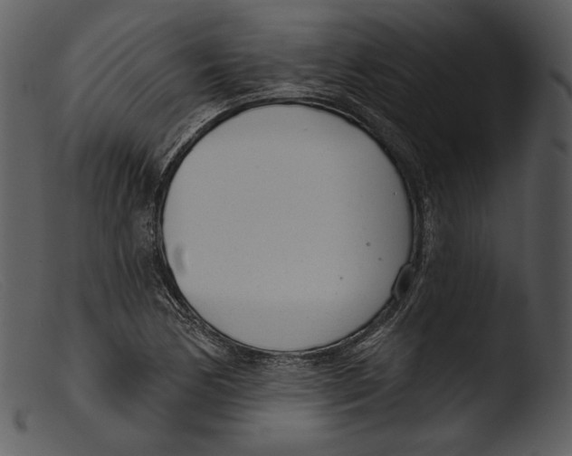 X0000103281170200809261219