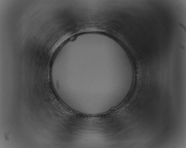 X0000103281173200809261219