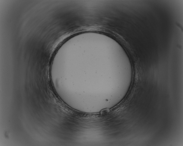 X0000103281174200809261219