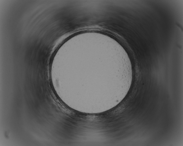 X0000103281176200809261218