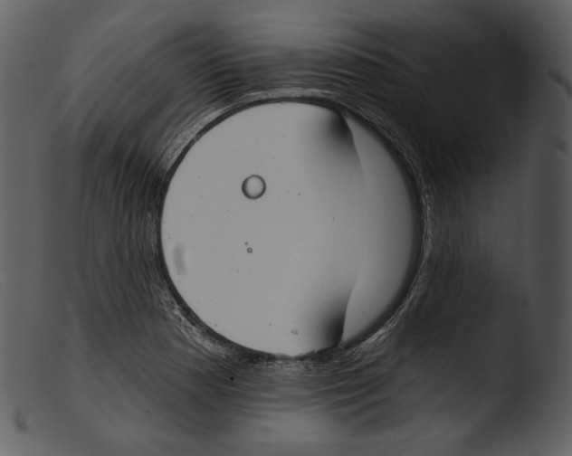 X0000103281177200809261218