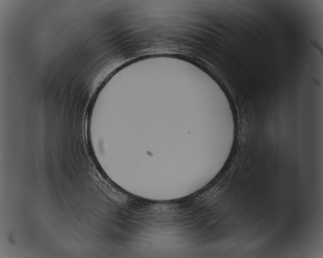 X0000103281179200809261218