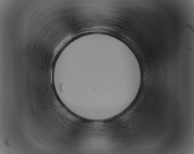 X0000103281180200809261218