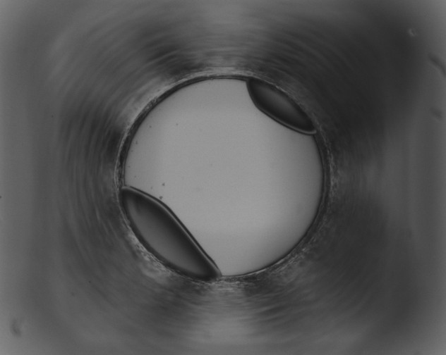 X0000103281181200809261218