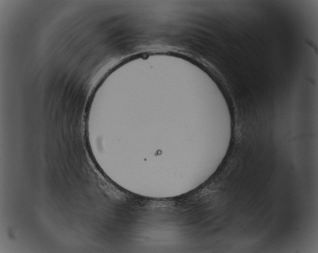 X0000103281183200809261218