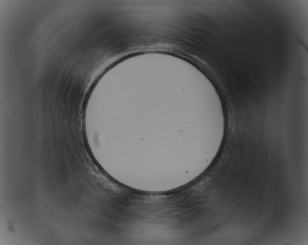 X0000103281184200809261218