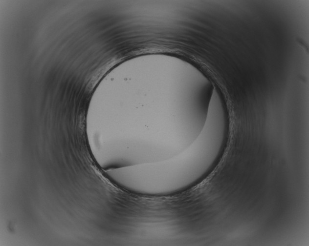 X0000103281185200809261218