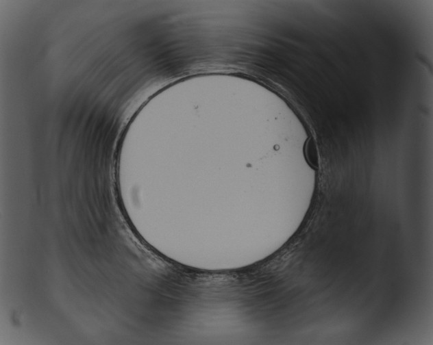 X0000103281187200809261218