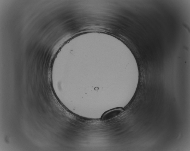 X0000103281188200809261218