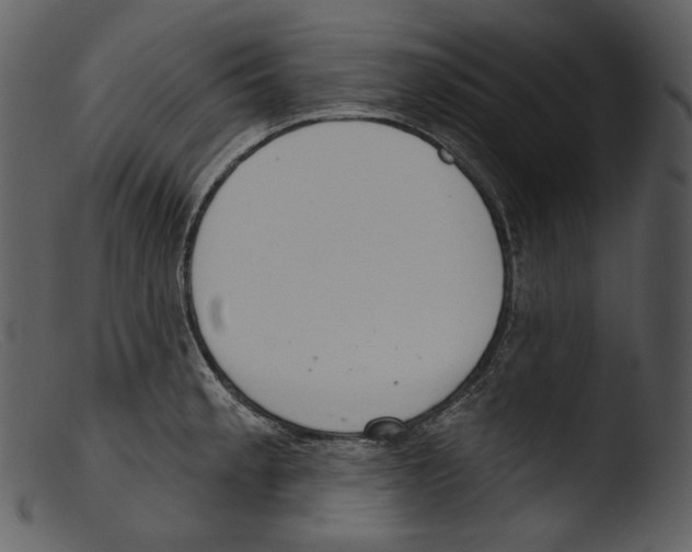 X0000103281189200809261218