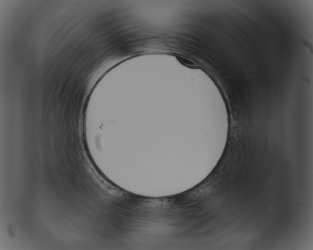 X0000103281195200809261218