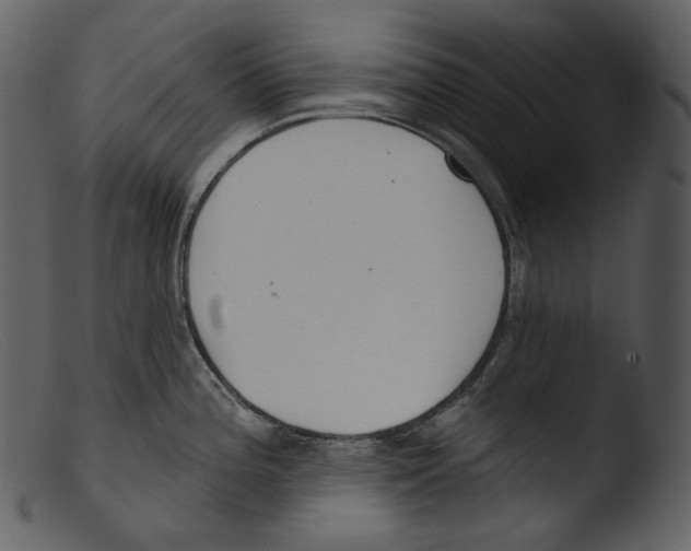 X0000103281196200809261218