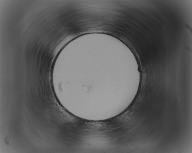 X0000103281197200809261218