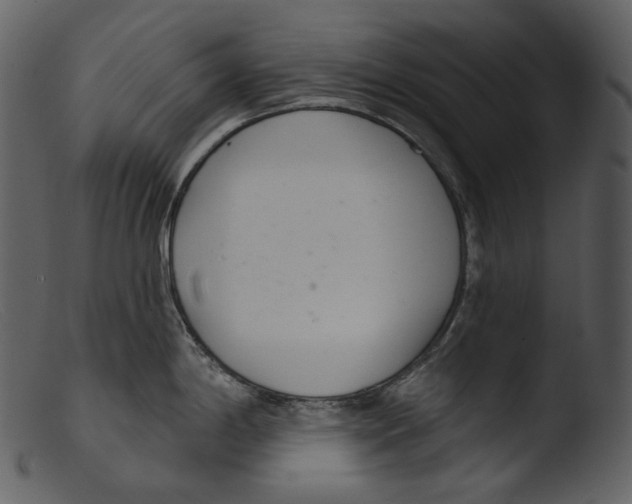 X0000103281198200809261218