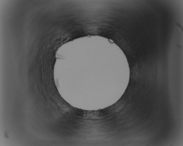 X0000103281201200809261217