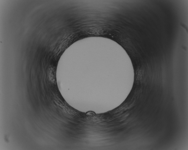 X0000103281202200809261217