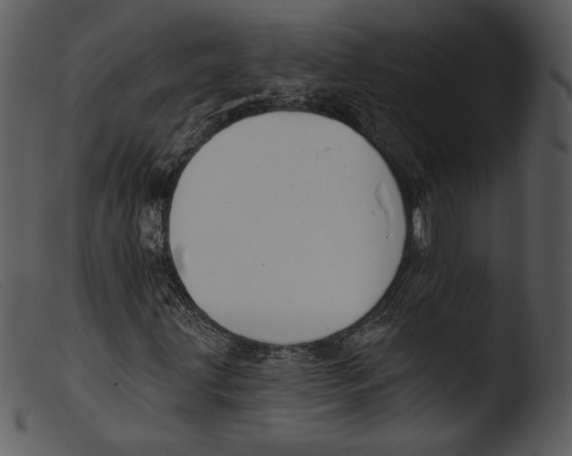 X0000103281203200809261217