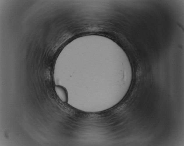 X0000103281209200809261217