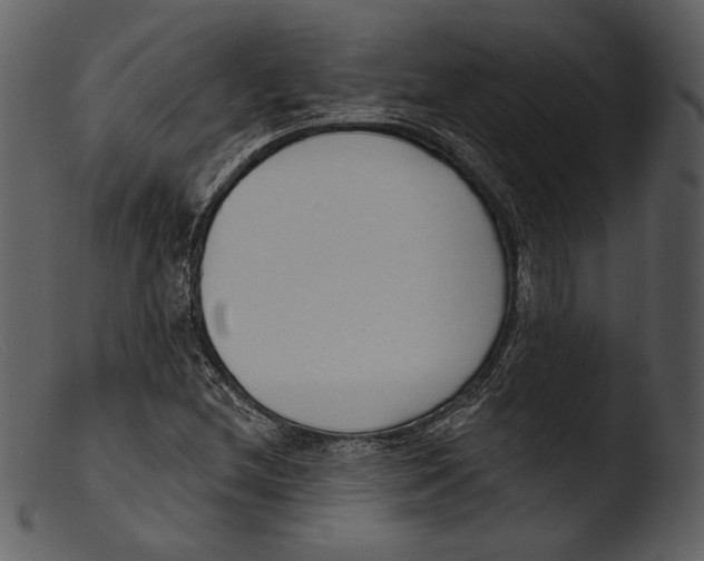 X0000103281212200809261217