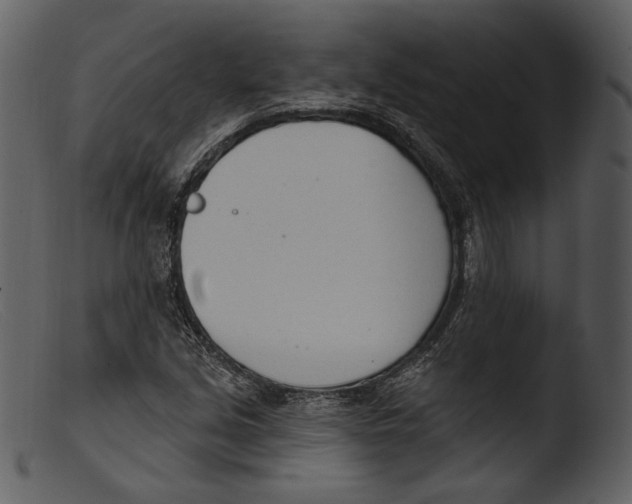 X0000103281213200809261217