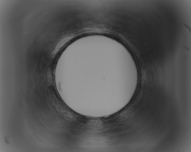 X0000103281215200809261217