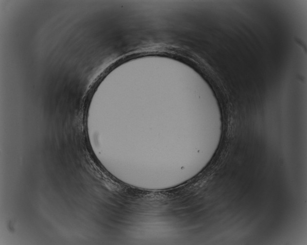 X0000103281216200809261217