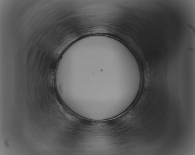 X0000103281225200809261217