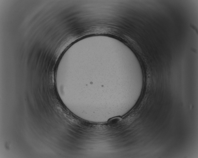 X0000103281226200809261218