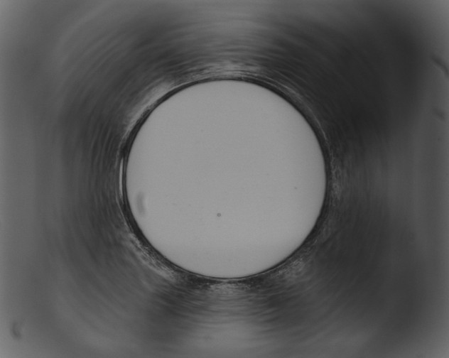 X0000103281227200809261218