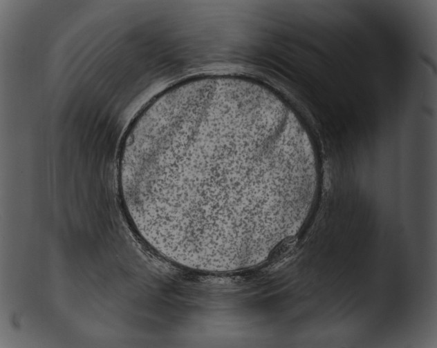 X0000103281229200809261218